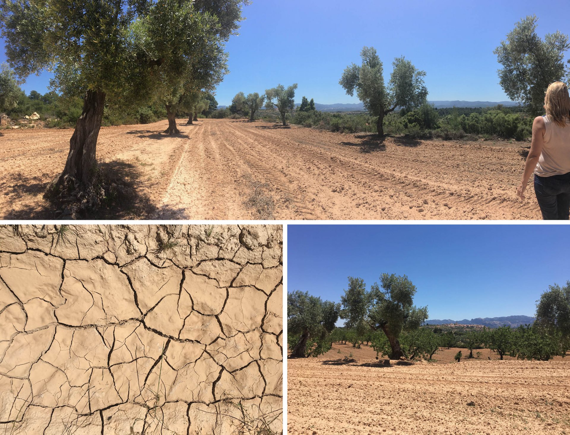 beautiful-site-matarraña-prime-property-with-a-stunning-view