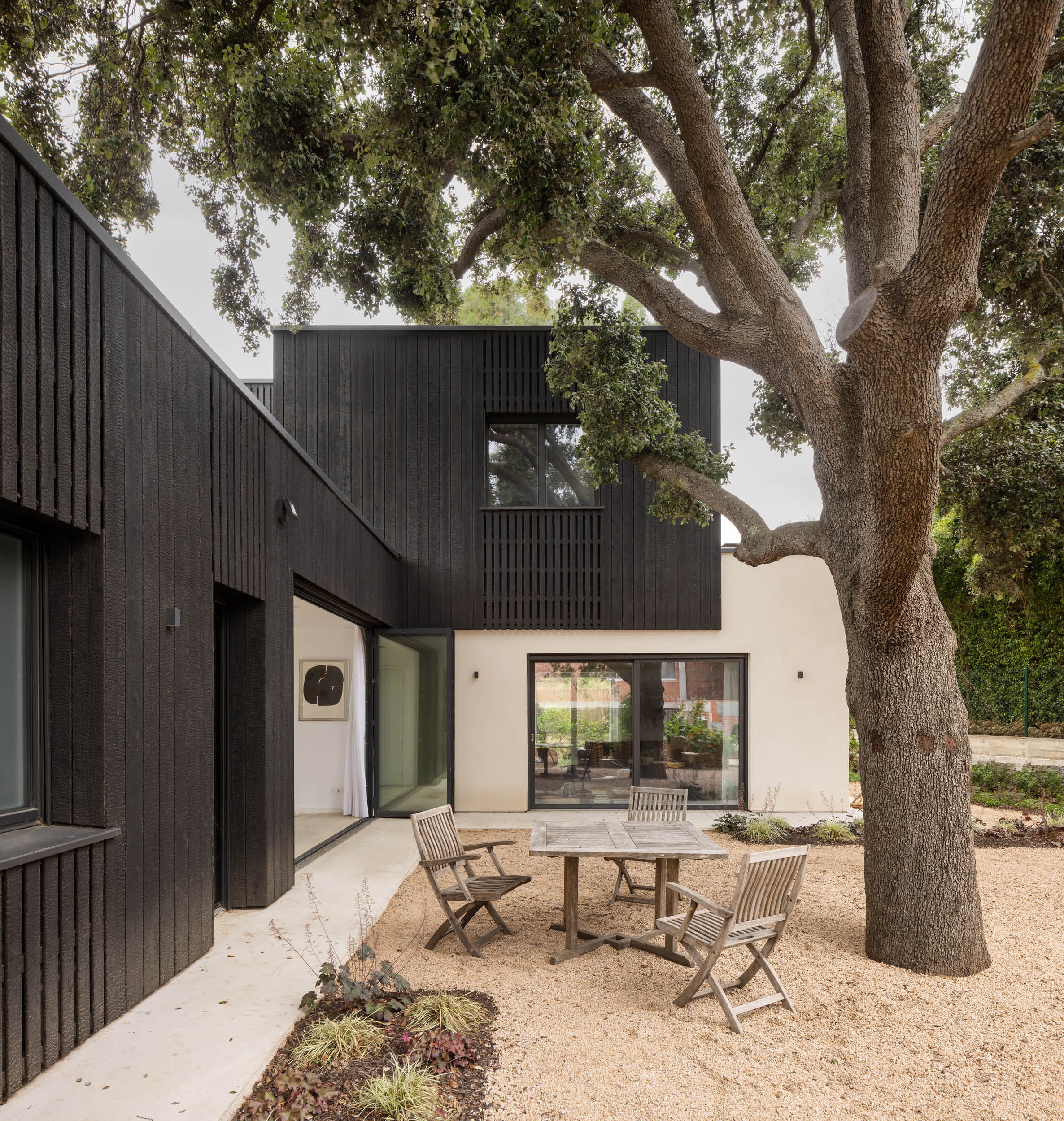 garden-elevation-tree-courtyard