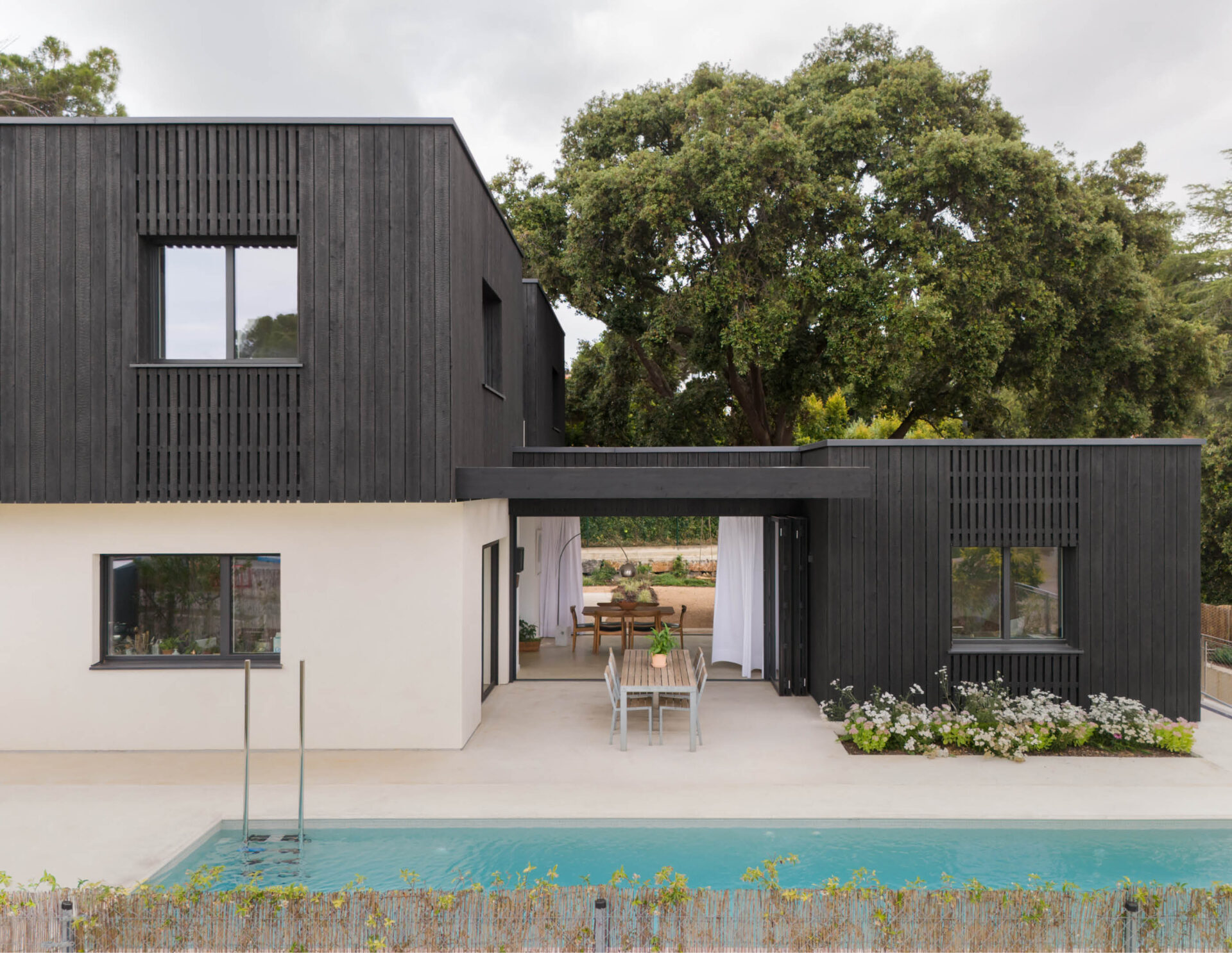 Sustainable modern home centred around a mature tree connecting two landscaped gardens
