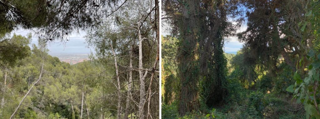 examples-of-steep-sites-with-a-view-in-spain